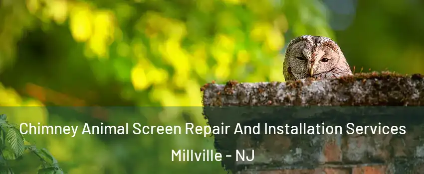  Chimney Animal Screen Repair And Installation Services Millville - NJ