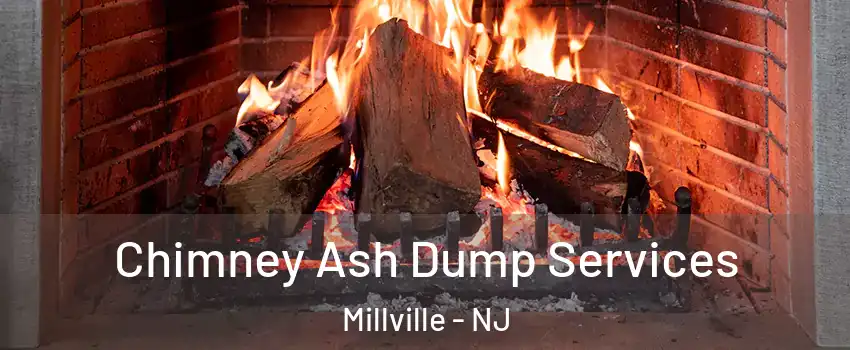  Chimney Ash Dump Services Millville - NJ