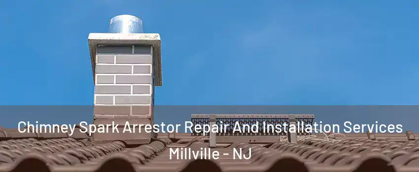  Chimney Spark Arrestor Repair And Installation Services Millville - NJ