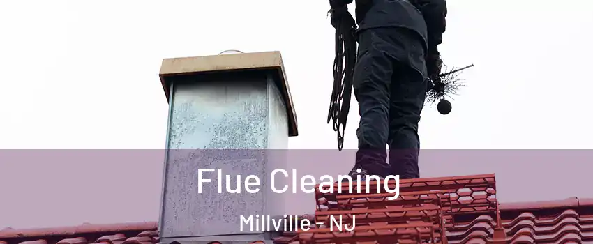  Flue Cleaning Millville - NJ
