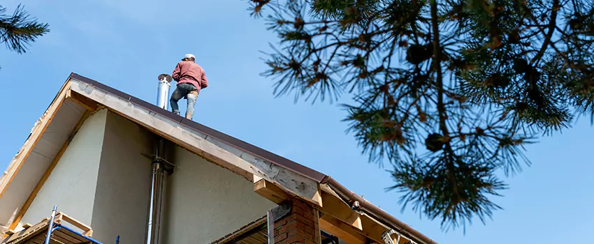 Birds Removal Contractors from Chimney in Millville, NJ