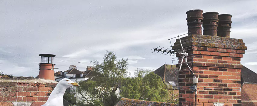 Chimney Cleaning And Restoration in Millville, New Jersey