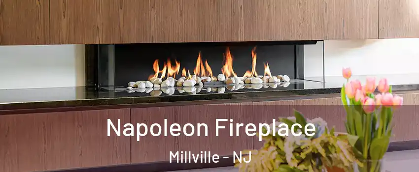  Napoleon Fireplace Millville - NJ