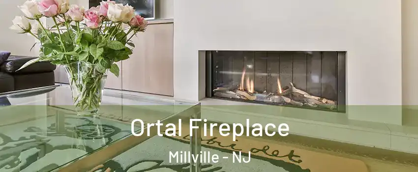  Ortal Fireplace Millville - NJ